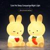Мультяшный силиконовый ночник-кролик со светодиодным таймером, кнопочной батарейкой и декоративным подарком.