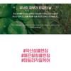 NEOGEN - Dermalogy Calming Cica Tree Micellar Cleansing Foam JUMBO