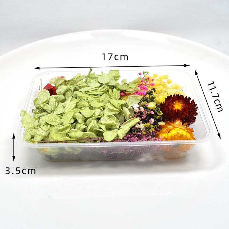 Набор для самостоятельной работы: Разнообразие натуральных стабилизированных цветов для букетов в подарок на День святого Валентина