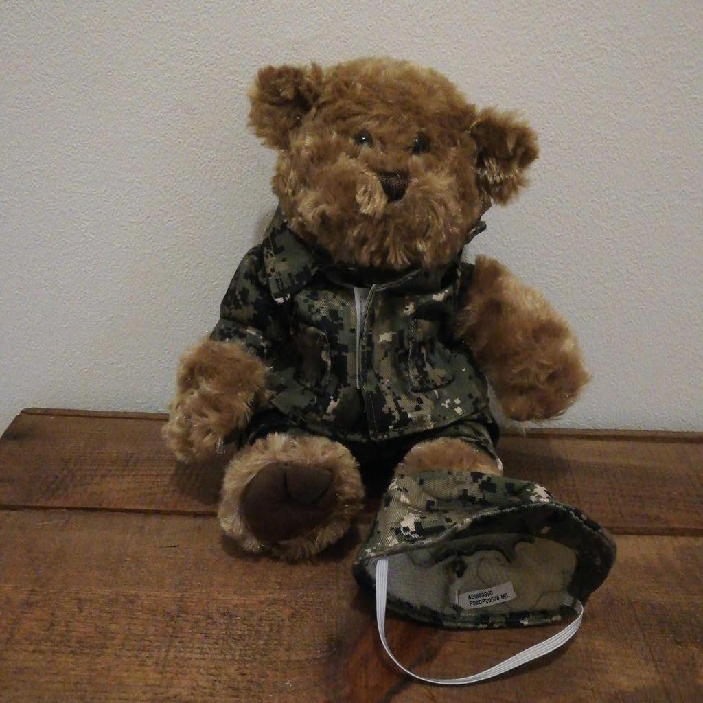 [USED] Rare American Souvenir Chelsea Army Teddy Bear