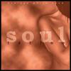 Bande Blanche Moyenne - Soul T