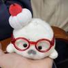 Palm Sized Seal Stuffed Doll Soft Fluffy Seal Keychain Seal Plush Toy  Home Decoration