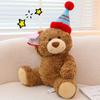 Flower Shop Doll Wholesale Cute Bear Plush Doll Teddy Bear Holding Sleeping Plush Toy Giving Birthday Gift