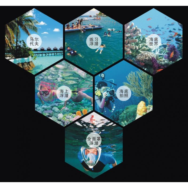 Adult Universal Snorkel Mask Tempered Glass Lens Silicone Scuba Diving Gear Freediving