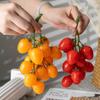 Искусственная гирлянда из маленьких помидоров, модель искусственных фруктов, ПВХ, ложные помидоры черри, реквизит для фуд-фотографии, украшения для праздничной вечеринки