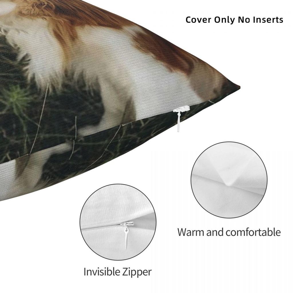 Custom Cavalier King Charles Spaniel Square Pillowcase Cushion Comfort Throw Pillow Sofa Cushions Used for Home Bedroom