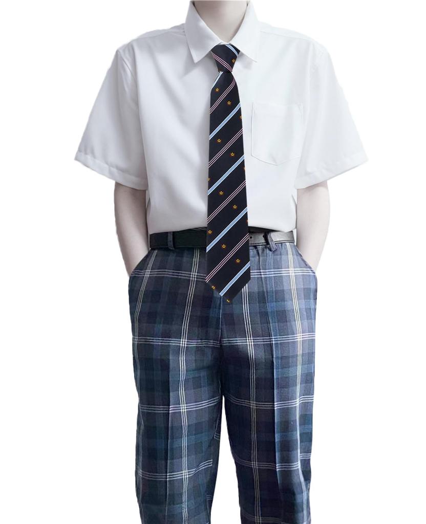 QOOLY High School Boy Cosplay Includes Uniform School and Perfect for Halloween and School Size XL 3-Piece Set, Skirt, Uniform, Tie, Festivals, Grey,