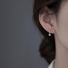 Screw Screw Star Zircon Stud Earrings Female Ear Hole Millennial Babes Light Luxury Niche Cold Wind Spring Star Earrings