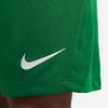 Nike Dri-Fit Spark Удобные Мягкие Неприхотливые Кожистые Быстросохнущие Шорты Детские Шорты Светло-Зеленые HF0531-302