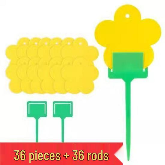 Yellow and Blue Double-Sided Sticky Insect Traps for Small Flies - Indoor Summer Use