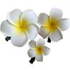 1PC/2PCS/3PCS Hawaiian Plumeria Flower Hair Clips Women Artificial Hairpins Wedding Boho Beach Hair Accessories Gift