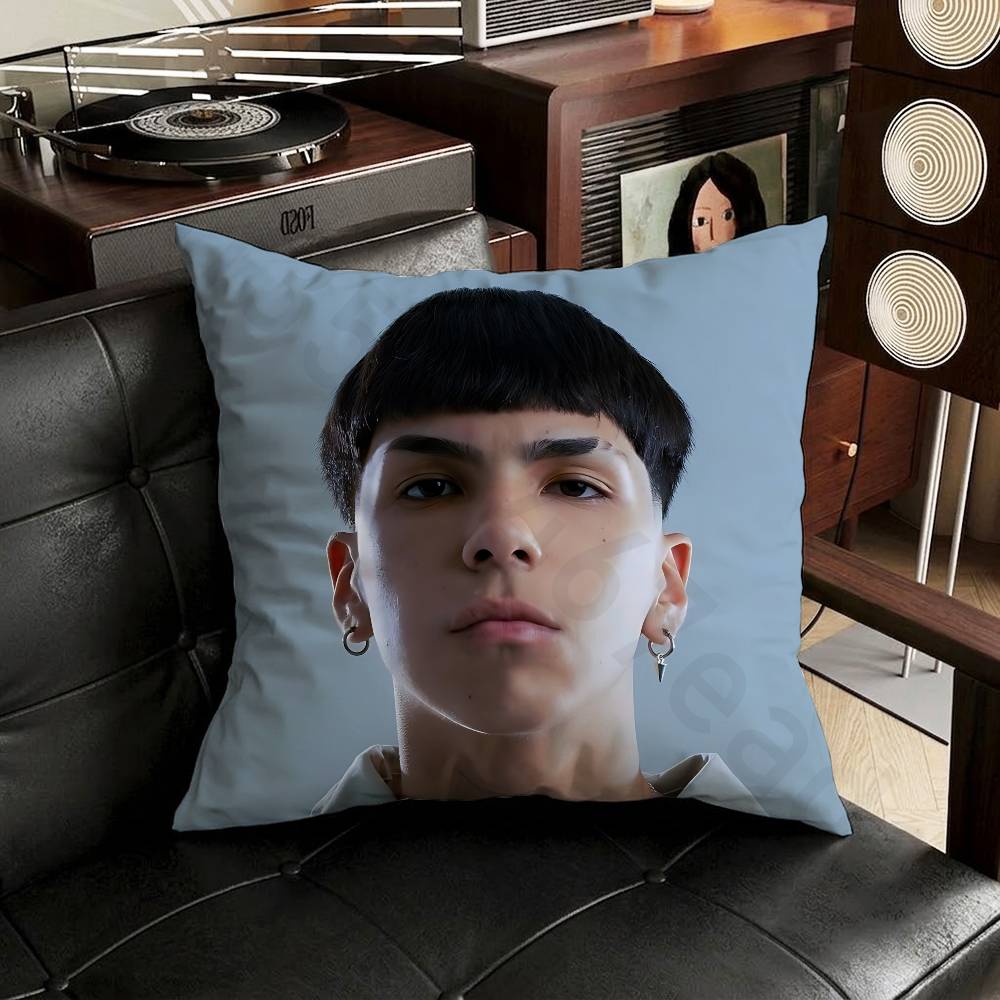 MMilo J Singer Pillow Case Sofa Living Room Bedroom Headboard Backrest Cushion Square Cushion Nap Time