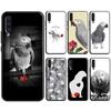 African Grey Parrot Case For Samsung A12 A32 A42 A52 A72 A52S A03S A21S A11 A31 A51 A71 A10 A50 A70 Full Cover