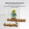 Parrot Myna Perch: Prickly Ash Wood Stand & Boredom Relief Toy for Self-Play - Claw Grinding & Biting Branch.