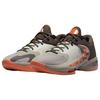 Nike Кроссовки Zoom Freak 4 Letter Bros Мужские Коричневый Железный Камень Оранжевый-Транс DJ6149-003