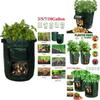Practical And Lightweight Garden Plant Tools For Homegrown Food On Balconies And Patios