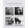 Intelligent Induction Cat Water Dispenser Large Capacity Purification Wireless Pet Water Dispenser Smart Dog Water Dispenser