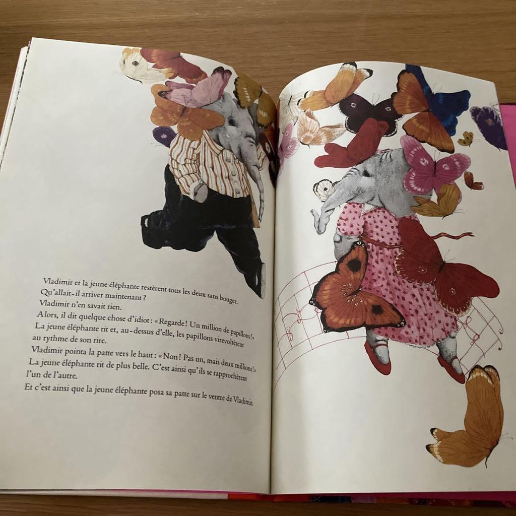 [Б/У] Французская иллюстрированная книга «Миллион бабочек»