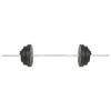 3145017 vidaXL Barbell Bar with Plates 60 Kg