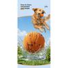 toyDog Bite-Resistant Ball Round Electric Non-Toxic Molar Ball Training Pet Dog Toy Ball Food Grade