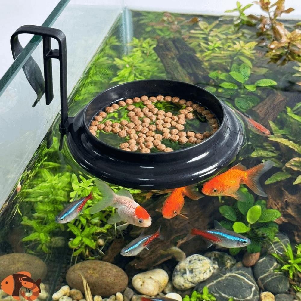Anti Drifting Fish Feeding Ring Hanging Floating Food Tray Fish Tank Station Aquarium Decoration