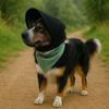 Ear Shield Dog Headgear Breathable Mesh Pet Head Cover Pet Supplies Dog Anti-Bite  Hiking