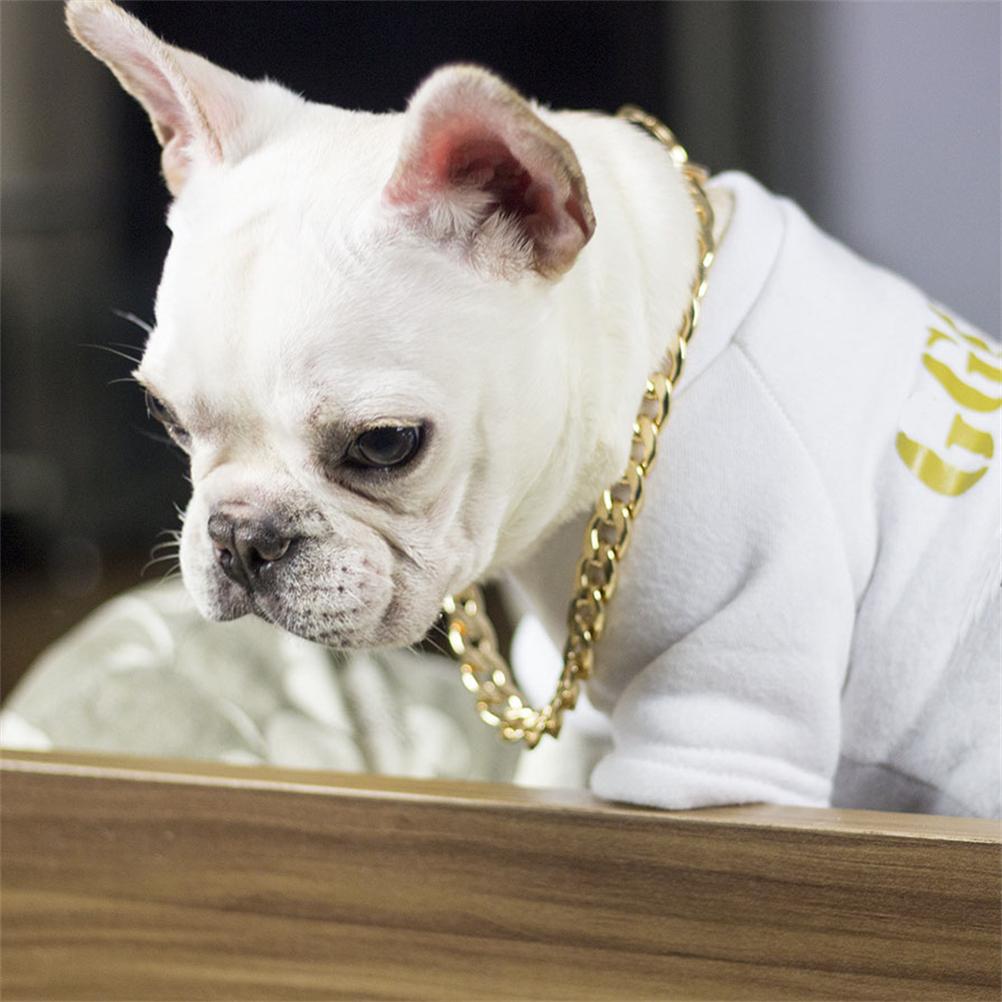 Цепочка для собак, ошейник из металла и золота, аксессуары для домашних животных на четыре сезона