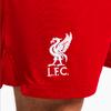Nike Футбольные брюки Liverpool Season 2023/24 Stadium Home с принтом логотипа, прямые, мужские, красные, белые, DX2714-687