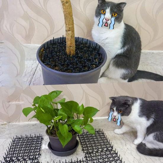 Коврик отпугивающий кошек с шипами Коврик против кошек Подходит для домашних животных Отпугиватель кошек от скатов Садовый забор для животных