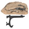 Dinosaur Fossil Statue 29x20.5x11.5cm Simulated Resin Dinosaur Skeleton Fossil Model for Home Study