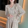 Весеннее корейское женское маленькое красивое шифоновое платье с v-образным вырезом и длинными рукавами, летнее повседневное платье с принтом