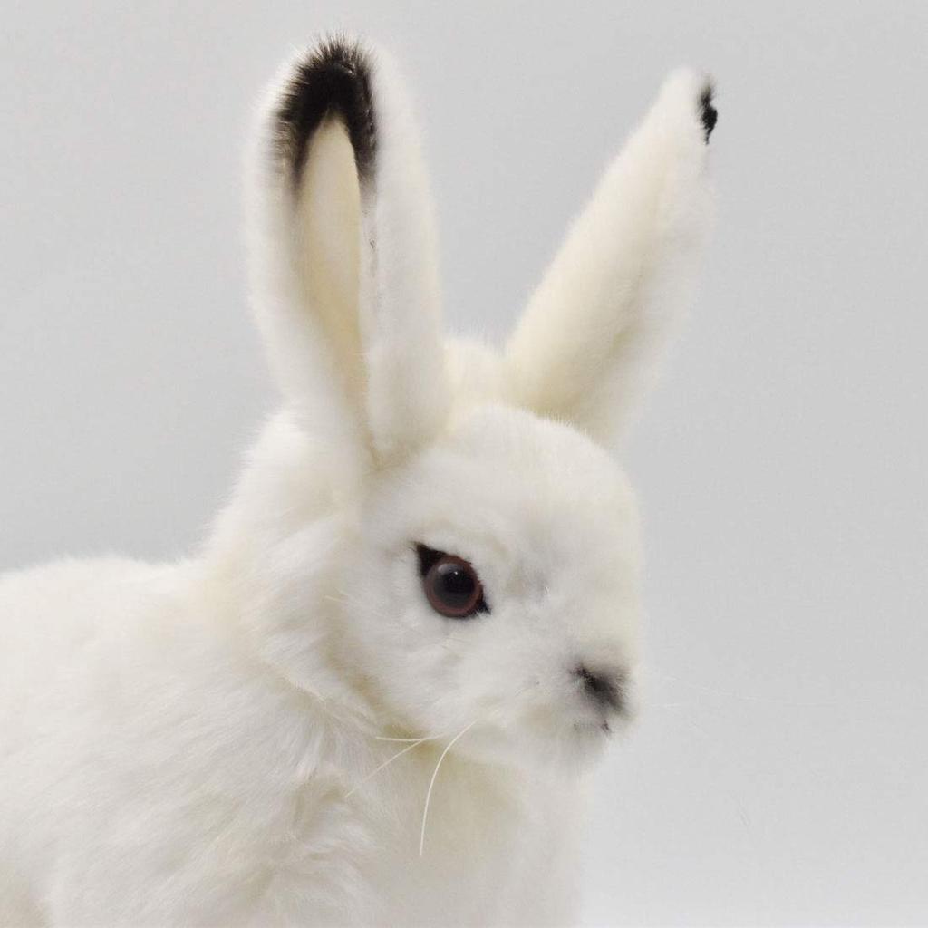 BH7851 HANSA Арктик Кролик 30