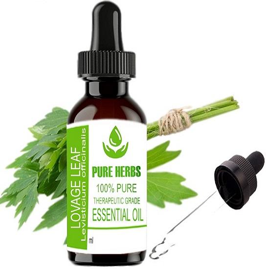 Pure Herbs Lovage Leaf (Levisticum officinale) Pure & Natural Therapeutic Grade Essential Oil Plastic with Dropper