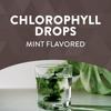 Nature's Way, Chlorfresh, Chlorophyll Drop, Mint Flavor, 2 fl oz (59 ml)