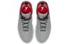 Jordan Fadeaway Волк Серый AO1329-060