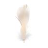 Wedding Ornaments Natural Color Colorful Feather Costume Decoration Home Decoration Goose Feathers