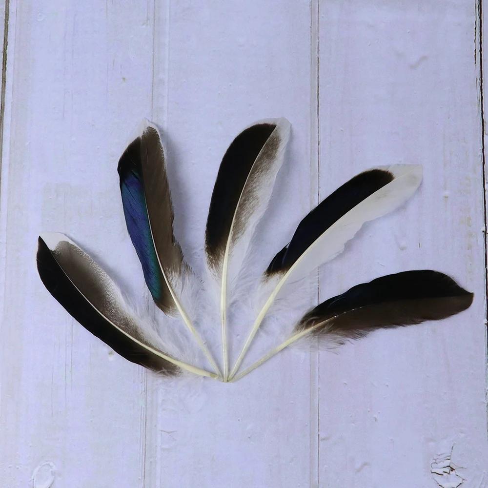 50pcs Natural Duck Feathers 8-13cm for Crafts DIY Jewelry Making Home Decoration Clothing Costume Sewing Accessory Pens Plumes