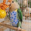 Escape Proof Bird Flight Suits Breathable Bird Flight Clothes Parrot Flying Harness  Pet Walking