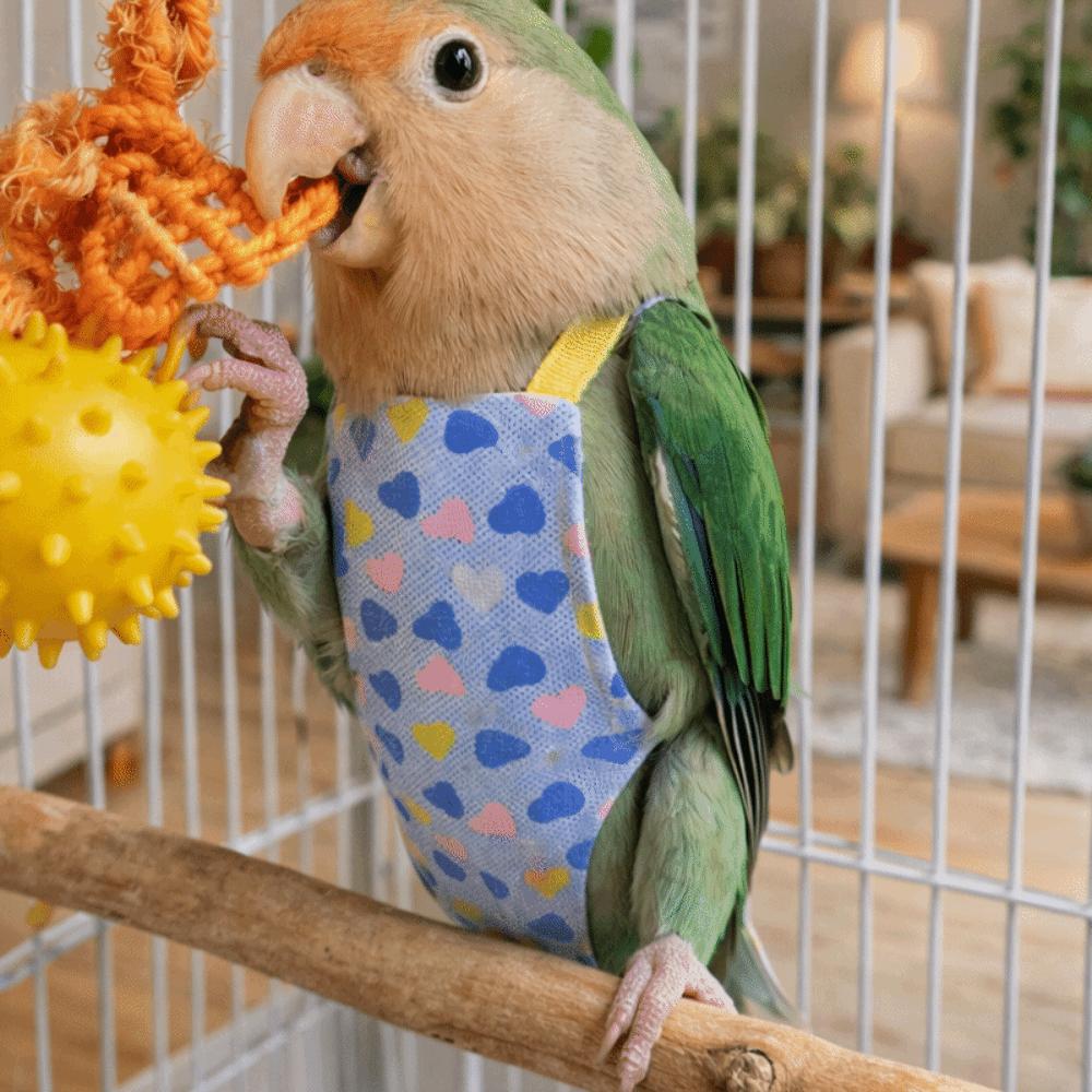 Escape Proof Bird Flight Suits Breathable Bird Flight Clothes Parrot Flying Harness Pet Walking