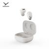 Beyerdynamic Amiron 300 True Wireless ANC Наушники