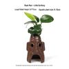 Aquatic Plant Moss Hideaway: Real Plant Jar for Fish & Shrimp