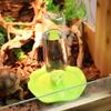 Amphibious Reptile Feeder Spider Bird Plastic Reptile Feeding Basin Turtle Lizard Reptile Bowl Turtle Water Dispenser
