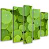 Five Piece Picture Canvas Print Green Leaves