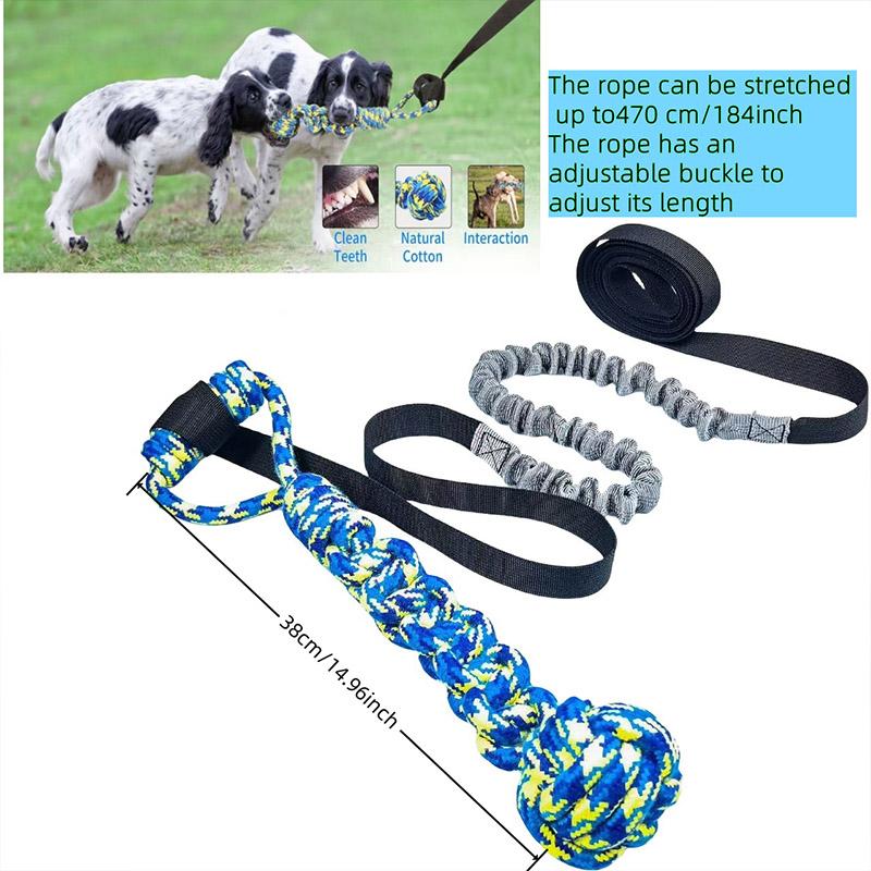 Dog Ball Toy With Rope Interactive Leaking Balls For Large And Small Dogs Ropeschew Ball Chew Toys Puppy Training Petaccessories