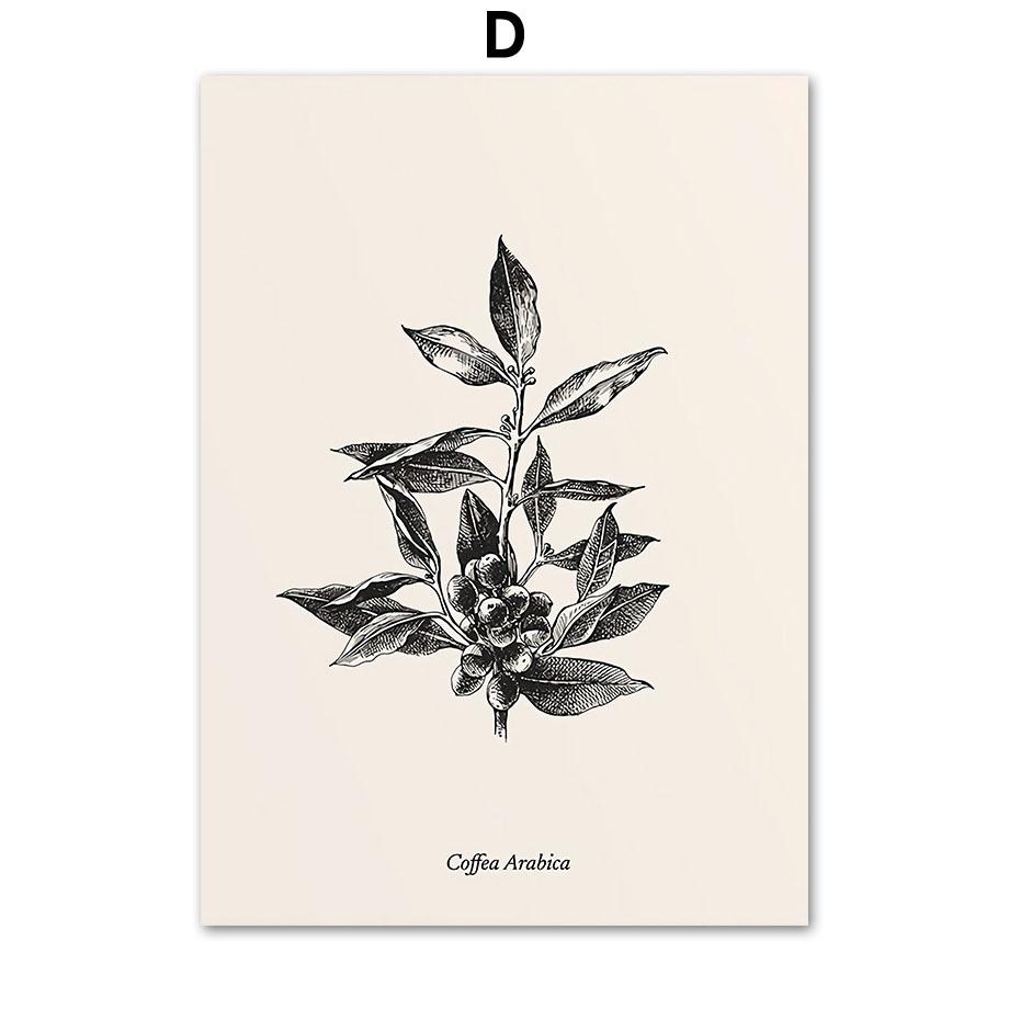 Абстрактная линия кофе Определение Coffea Arabica Wall Art Холст Картины Плакаты и принты Настенные картины Кафе-бар Кухонный декор