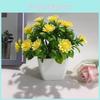 Artificial Daisy Green Plant Decor With Plastic Construction For Home And Office