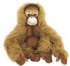 BH7145 HANSA Orangutan 20