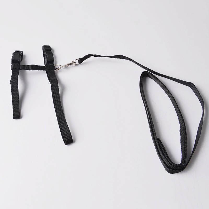 Регулируемый тяговый ремень для домашних животных, повод для кошек, поводок для маленьких собак и ошейник-поводок