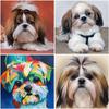 5D алмазная живопись, полная круглая смола, собаки, алмазная вышивка крестиком, мозаика, животные, стразы, фотографии, украшение дома