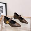 French Thick Heel Velcro Shallow Mouth Single Shoes Women's 2025 Autumn New Pointed Foreign Style Versatile Mary Jane Small Leather Shoes